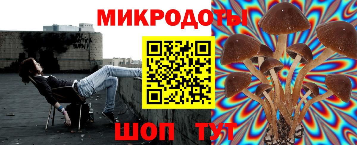 Псилоцибиновые грибы GOLDEN TEACHER  Псилоцибиновые грибы GOLDEN TEACHER  Аша  Вход с VPN 